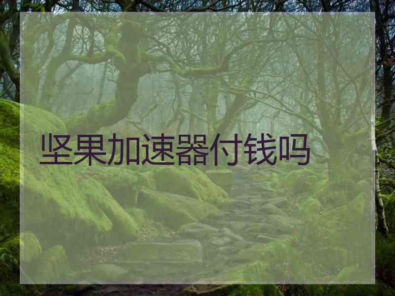 坚果加速器付钱吗