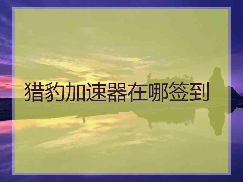 猎豹加速器在哪签到