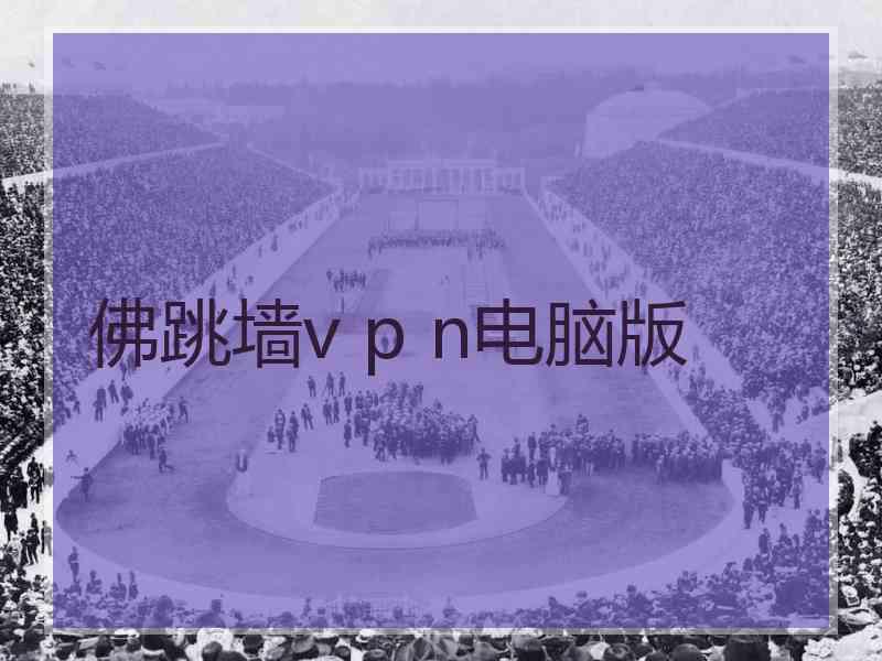 佛跳墙v p n电脑版