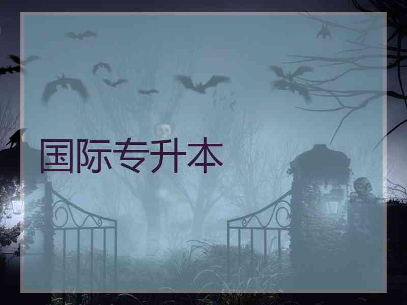 国际专升本