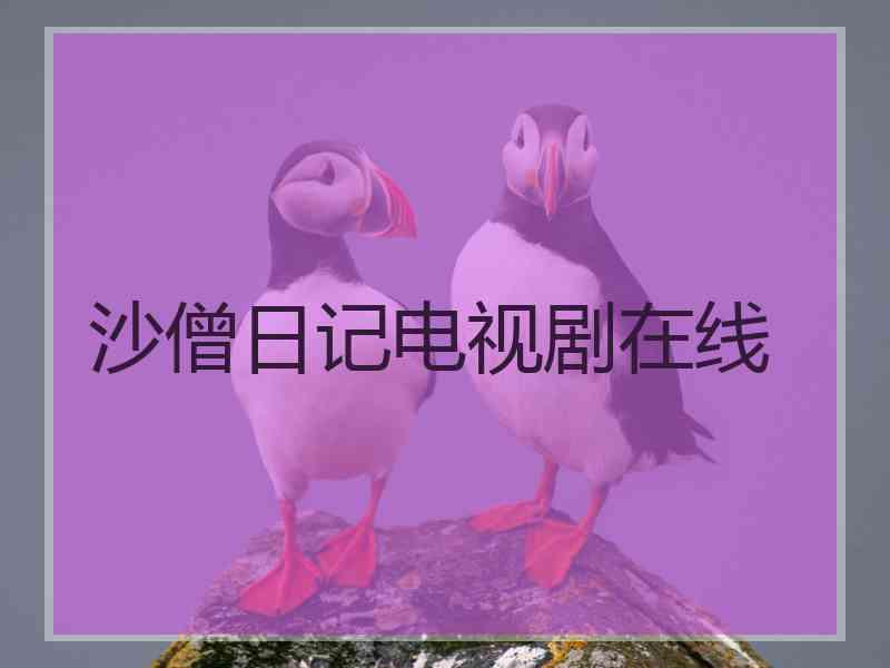 沙僧日记电视剧在线