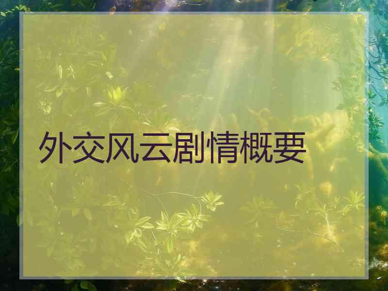 外交风云剧情概要