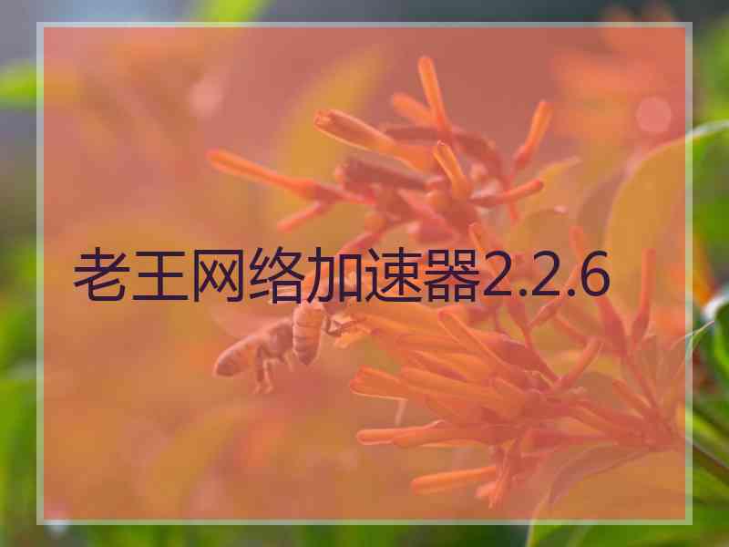 老王网络加速器2.2.6