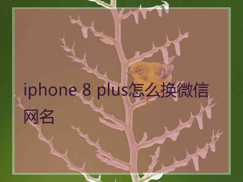 iphone 8 plus怎么换微信网名
