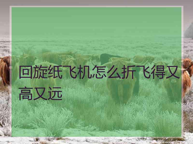回旋纸飞机怎么折飞得又高又远