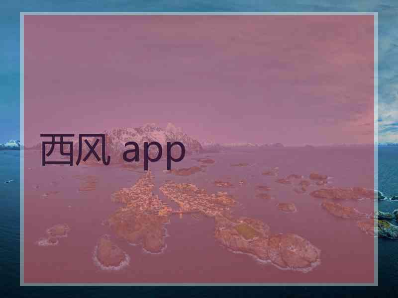 西风 app