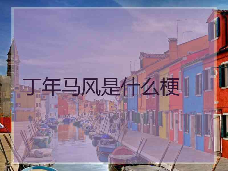 丁年马风是什么梗