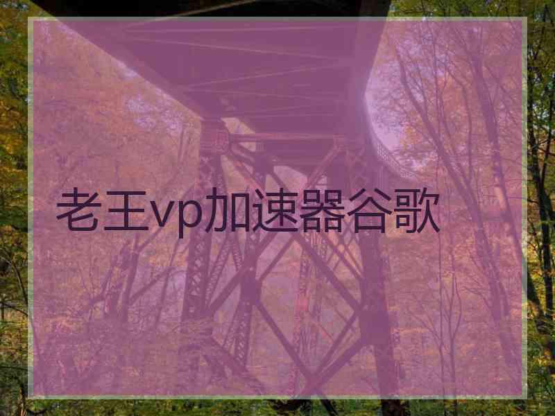 老王vp加速器谷歌