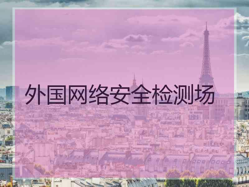 外国网络安全检测场