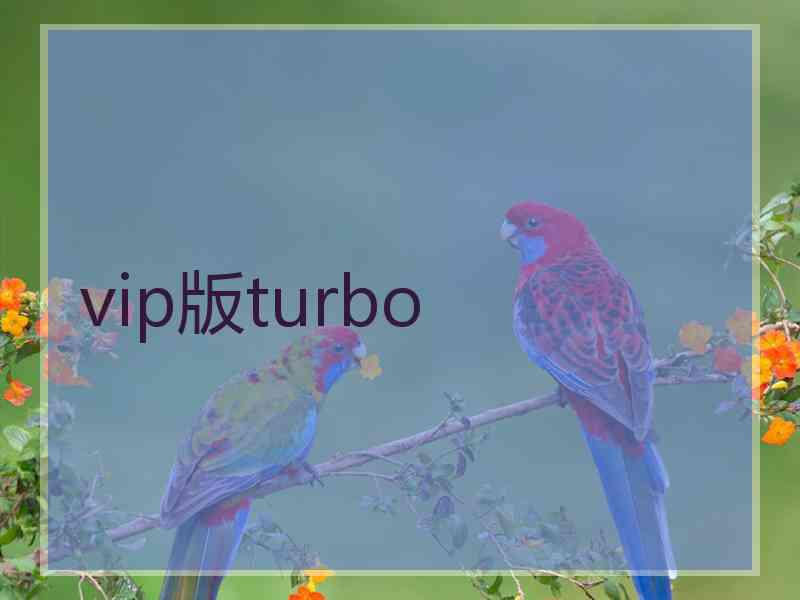 vip版turbo