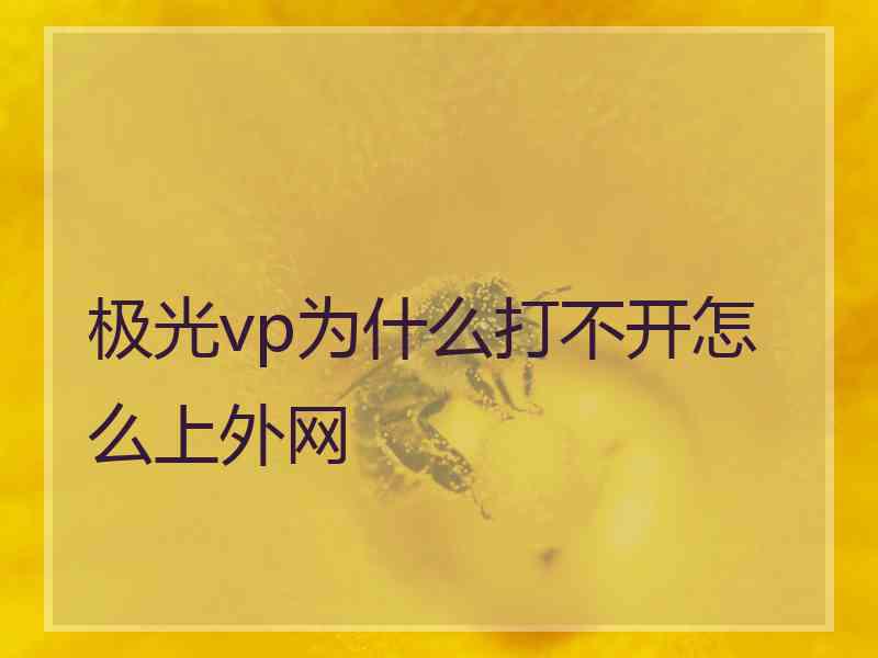 极光vp为什么打不开怎么上外网