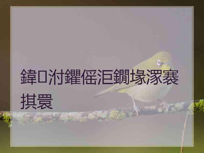 鍏泭鑺傜洰鐗堟潈褰掑睘