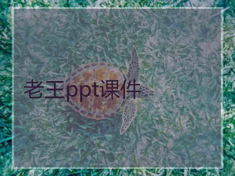 老王ppt课件