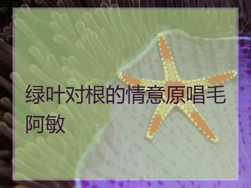 绿叶对根的情意原唱毛阿敏