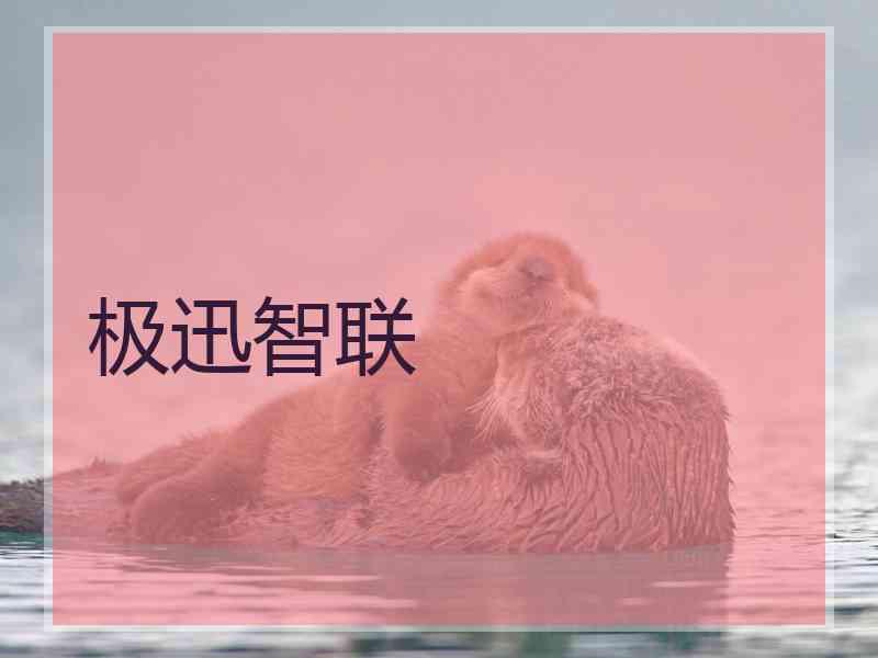 极迅智联