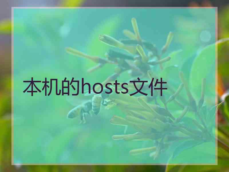 本机的hosts文件