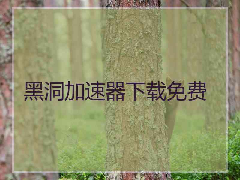 黑洞加速器下载免费