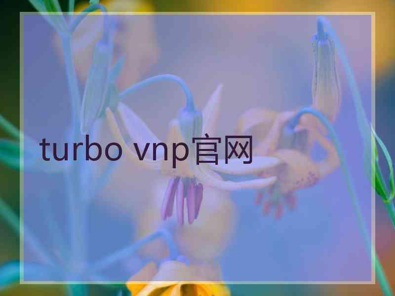 turbo vnp官网