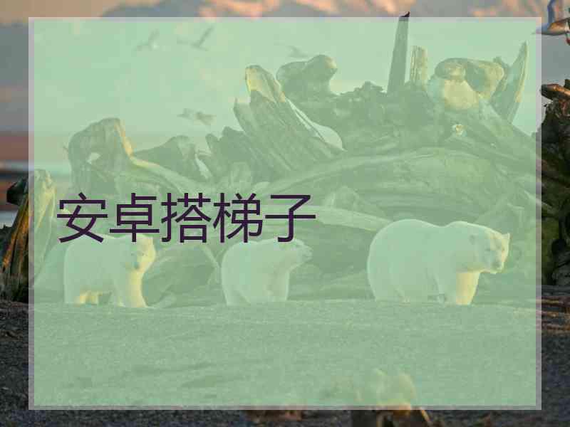 安卓搭梯子