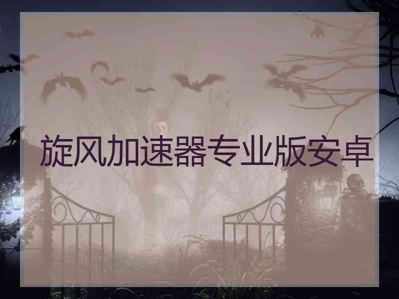旋风加速器专业版安卓