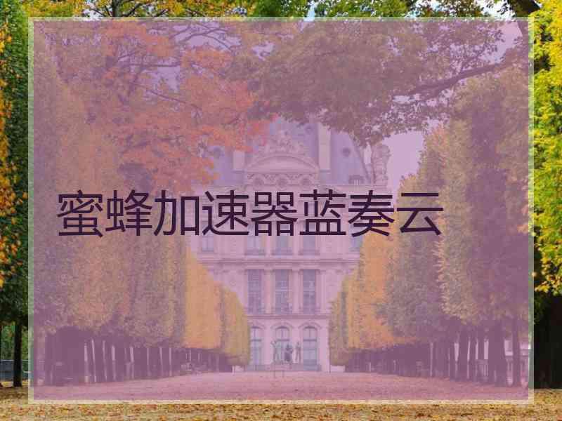 蜜蜂加速器蓝奏云