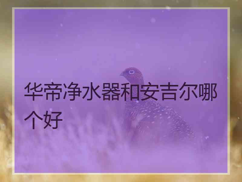 华帝净水器和安吉尔哪个好
