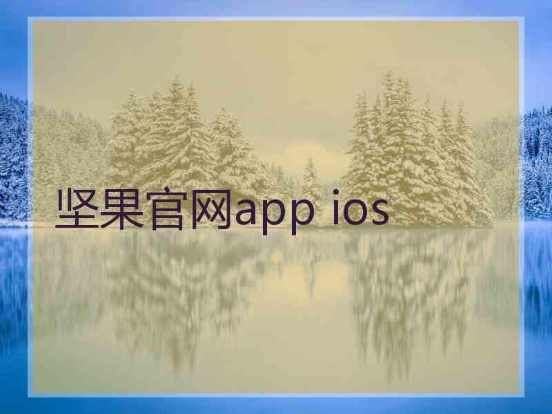 坚果官网app ios