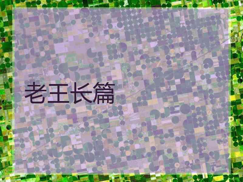 老王长篇