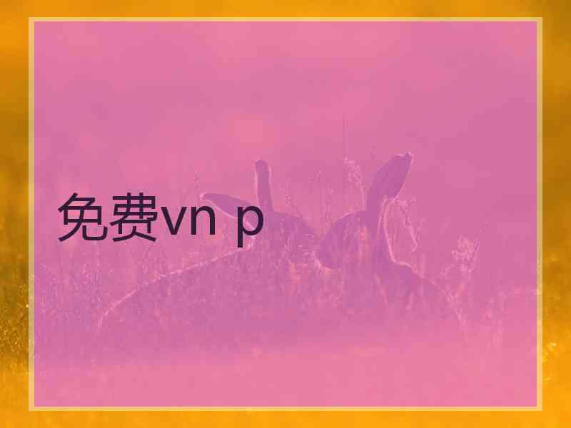 免费vn p