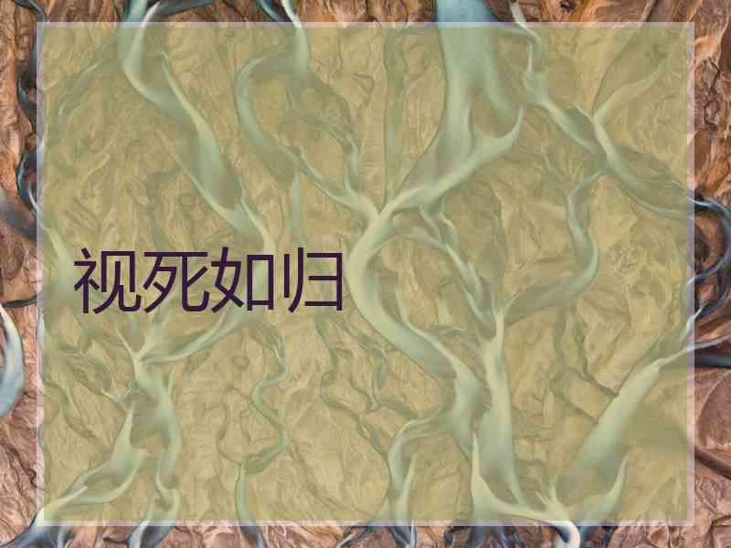视死如归
