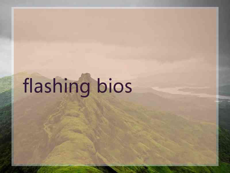 flashing bios