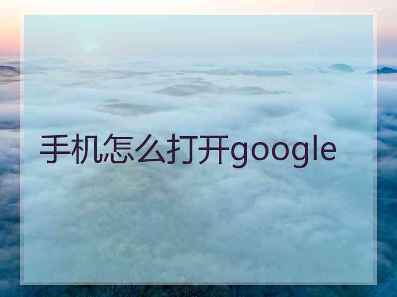 手机怎么打开google