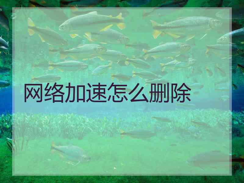 网络加速怎么删除