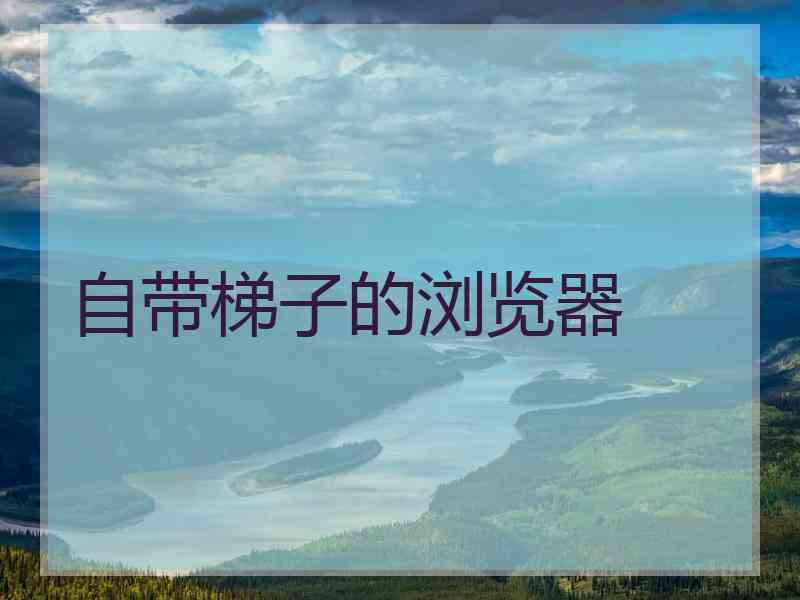 自带梯子的浏览器