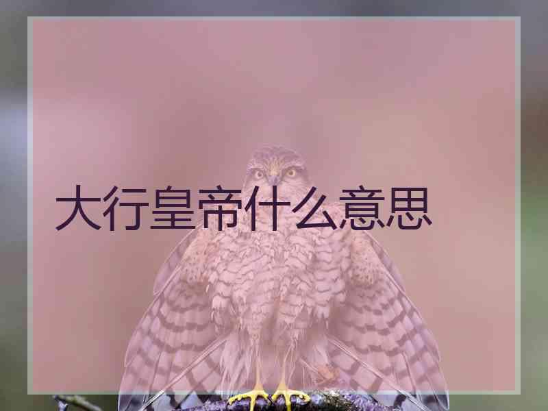 大行皇帝什么意思