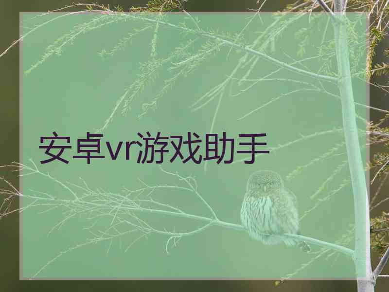 安卓vr游戏助手