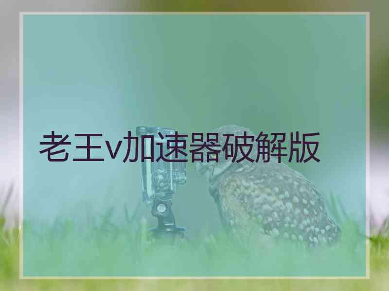 老王v加速器破解版