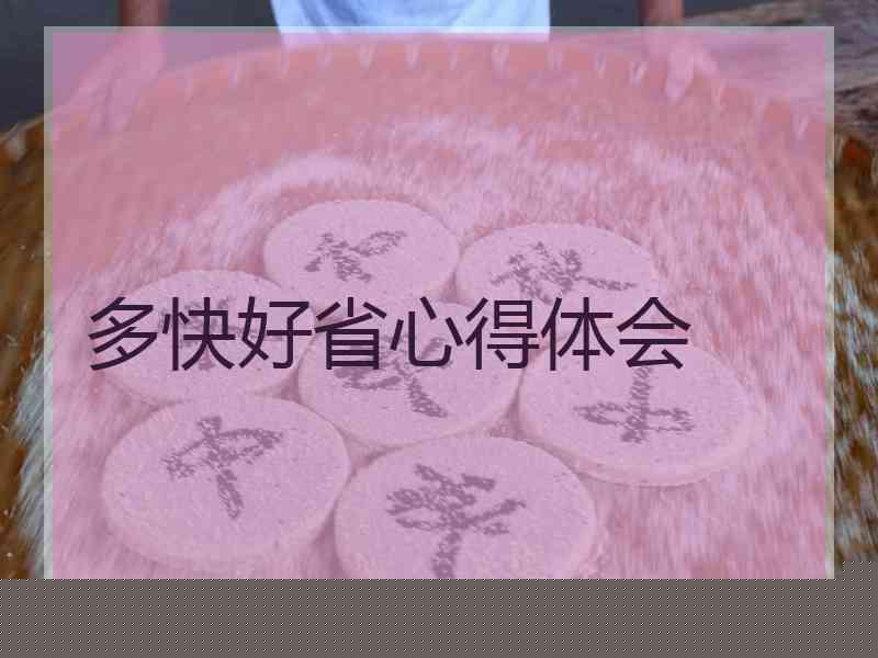 多快好省心得体会