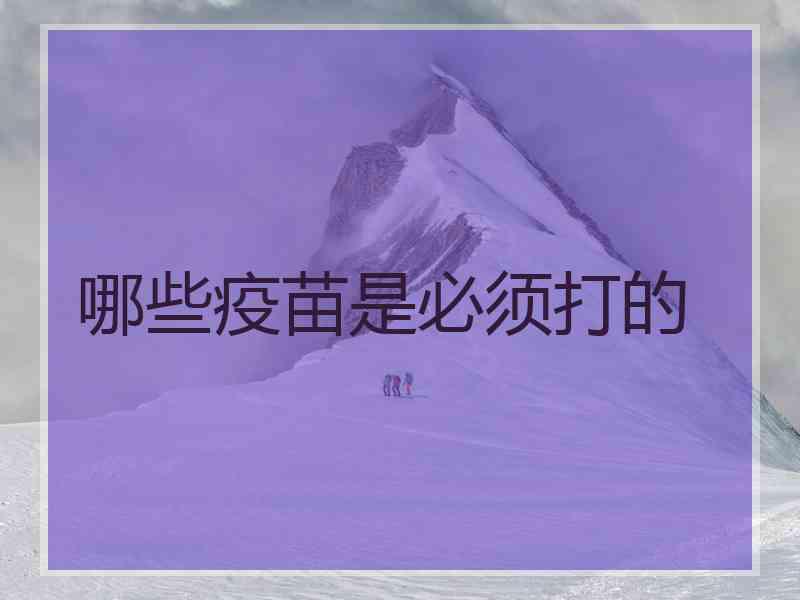 哪些疫苗是必须打的