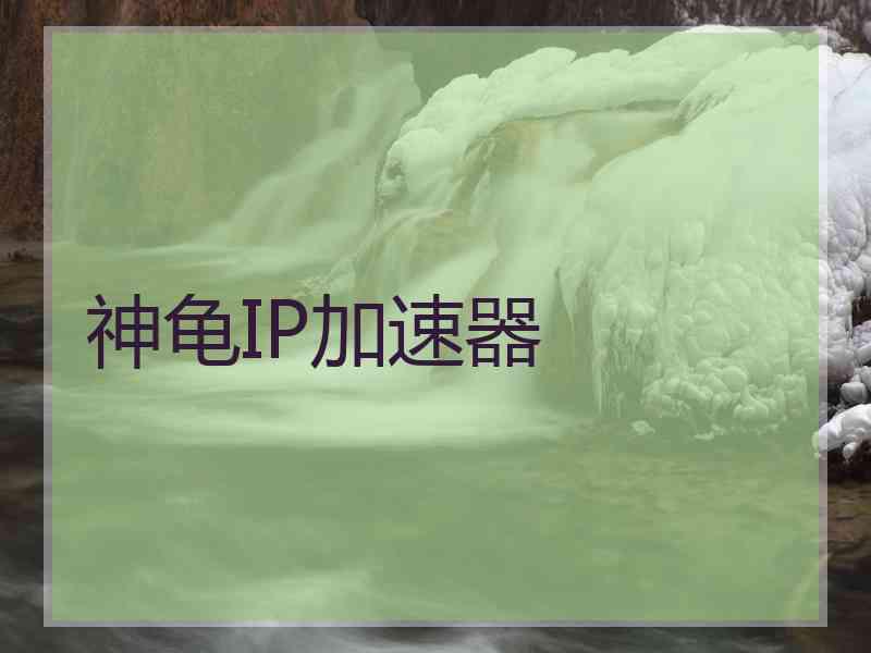 神龟IP加速器
