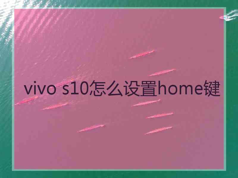 vivo s10怎么设置home键