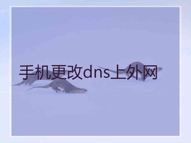 手机更改dns上外网