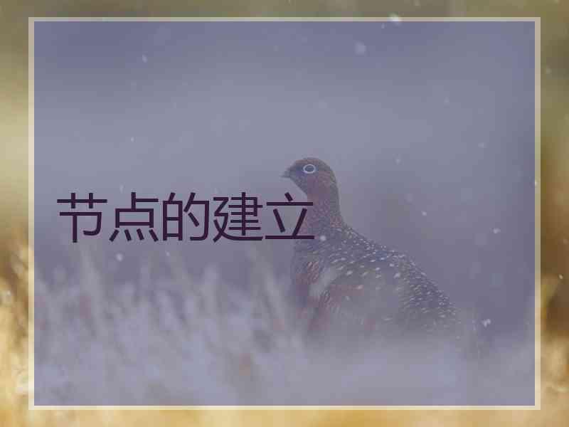 节点的建立
