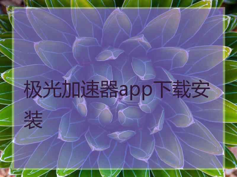 极光加速器app下载安装