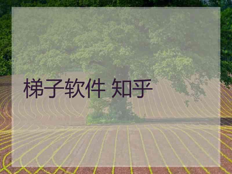 梯子软件 知乎