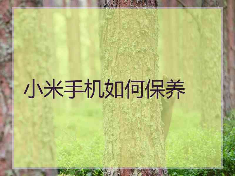 小米手机如何保养