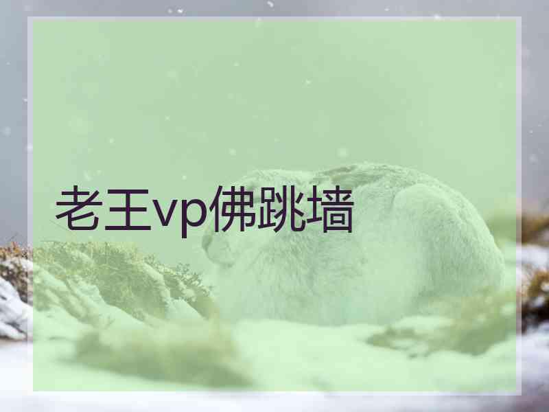 老王vp佛跳墙