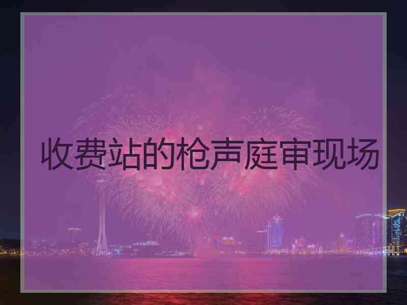 收费站的枪声庭审现场