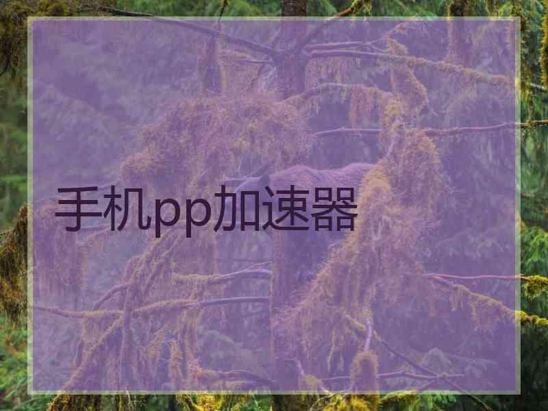 手机pp加速器