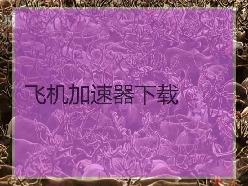 飞机加速器下载